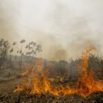 Brasil registra quase 30 mil focos de incêndio em 2026; aumento de temperatura levanta alerta de risco para Amazônia, Cerrado e Caatinga