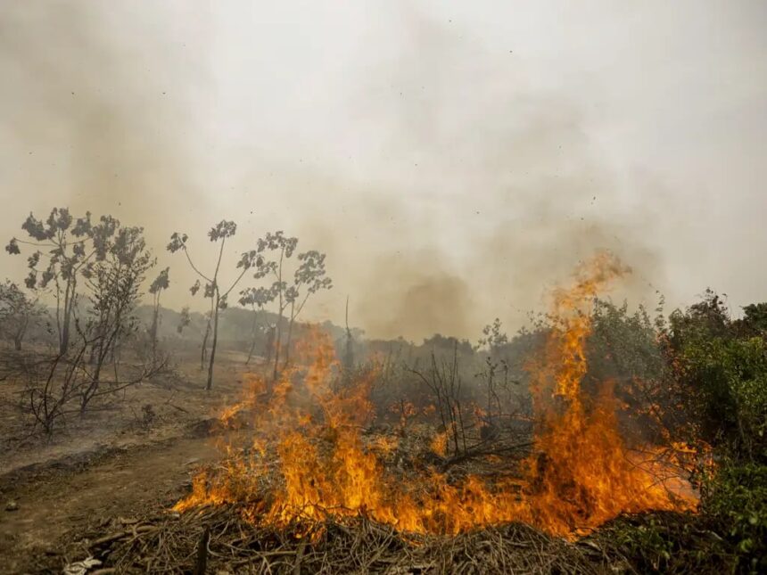 Brasil registra quase 30 mil focos de incêndio em 2026; aumento de temperatura levanta alerta de risco para Amazônia, Cerrado e Caatinga
