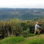Declaração do ITR 2026: Próximos Passos para Produtor Rural