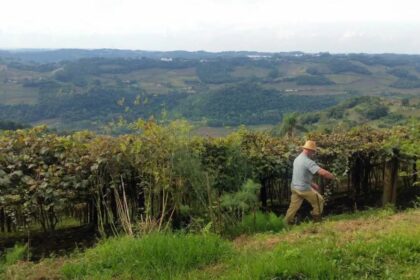 Declaração do ITR 2026: Próximos Passos para Produtor Rural