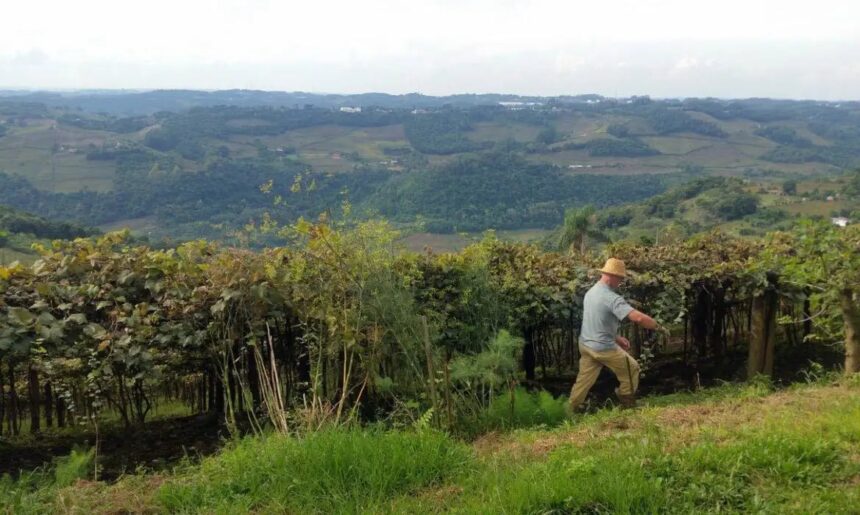 Declaração do ITR 2026: Próximos Passos para Produtor Rural