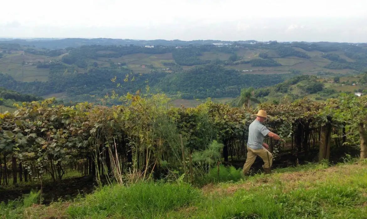 Declaração do ITR 2026: Próximos Passos para Produtor Rural