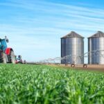 Agronegócio brasileiro registra crescimento de 5,4% em julho de 2026