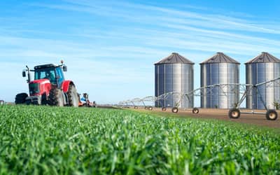 Agronegócio brasileiro registra crescimento de 5,4% em julho de 2026