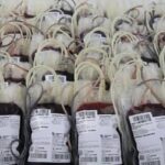 Mar Vermelho? Novas regras para doadores de sangue exigem adaptações de municípios
