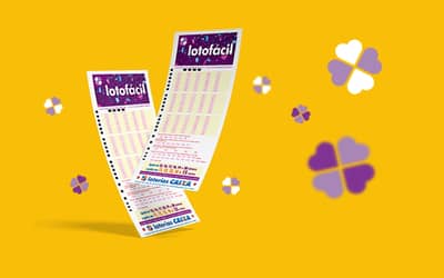 Sorteio da Lotofácil: Conheça as Apostas e o Valor das Chances de Ganhar