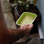 São Paulo registra mais de 58 mil casos de dengue em 2026