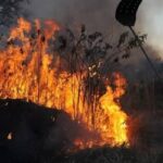 Mais de 500 municípios sob alerta alto por risco de incêndios florestais (até novembro)