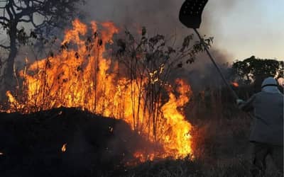 Mais de 500 municípios sob alerta alto por risco de incêndios florestais (até novembro)