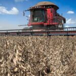 Agronegócio brasileiro enfrenta aumento de recuperações judiciais e crise de crédito rural (segunda-feira (28))