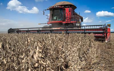 Agronegócio brasileiro enfrenta aumento de recuperações judiciais e crise de crédito rural (segunda-feira (28))