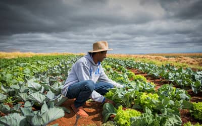Frente Parlamentar da Agropecuária pede ajustes na MP 1.376/2026