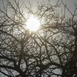 El Niño 2026/2027 ameaça secas e calor no Centro‑Oeste (2026/2027)