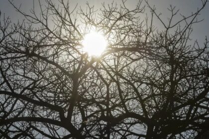 El Niño 2026/2027 ameaça secas e calor no Centro‑Oeste (2026/2027)