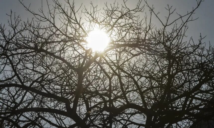 El Niño 2026/2027 ameaça secas e calor no Centro‑Oeste (2026/2027)