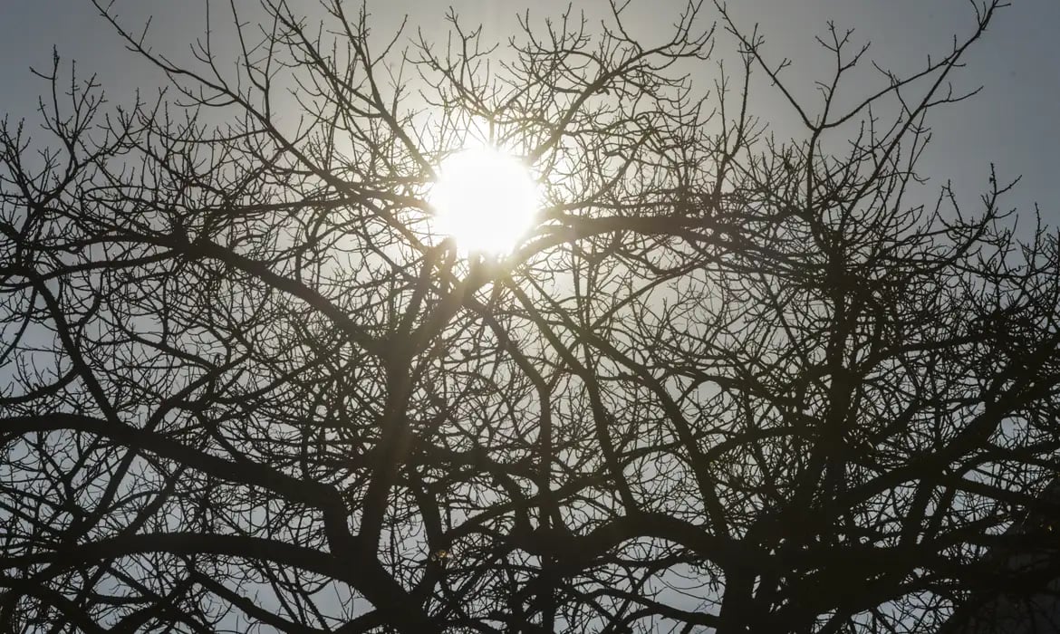 El Niño 2026/2027 ameaça secas e calor no Centro‑Oeste (2026/2027)