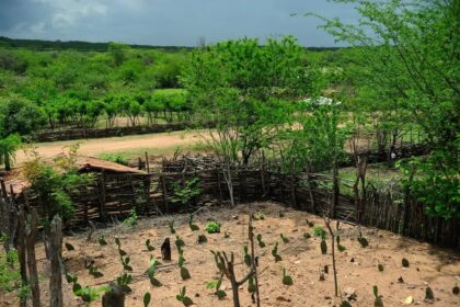 El Niño 2026/2027 ameaça o agronegócio nordestino: Embrapa alerta para ações de conservação e reservas