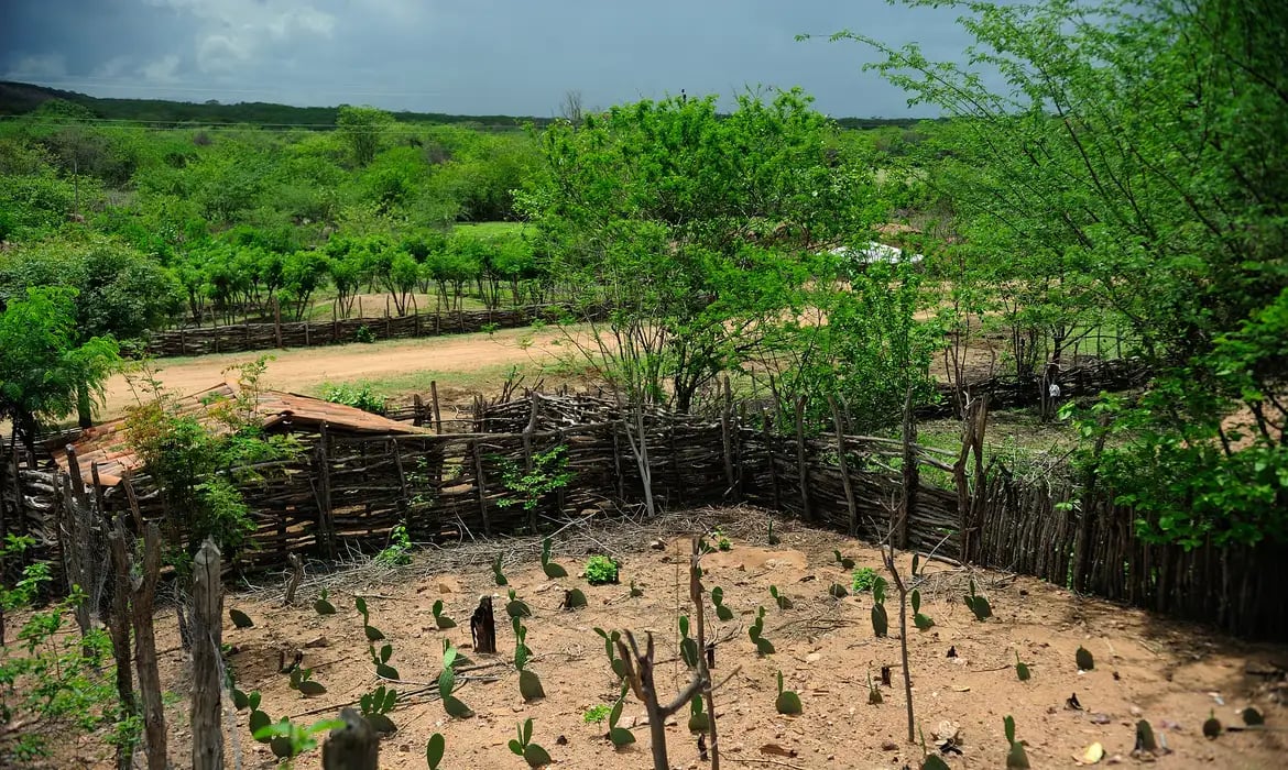El Niño 2026/2027 ameaça o agronegócio nordestino: Embrapa alerta para ações de conservação e reservas