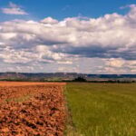 Mapa lança plataforma para auxiliar agricultores diante do El Niño 2026/2027 (El Niño 2026/2027)