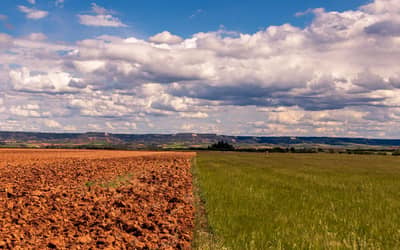 Mapa lança plataforma para auxiliar agricultores diante do El Niño 2026/2027 (El Niño 2026/2027)