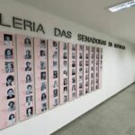Eleição de 2026 eleva número de senadoras para 12 mulheres (domingo, 4)