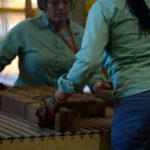 Exploração de minerais críticos gera mais de 129 mil empregos no Brasil